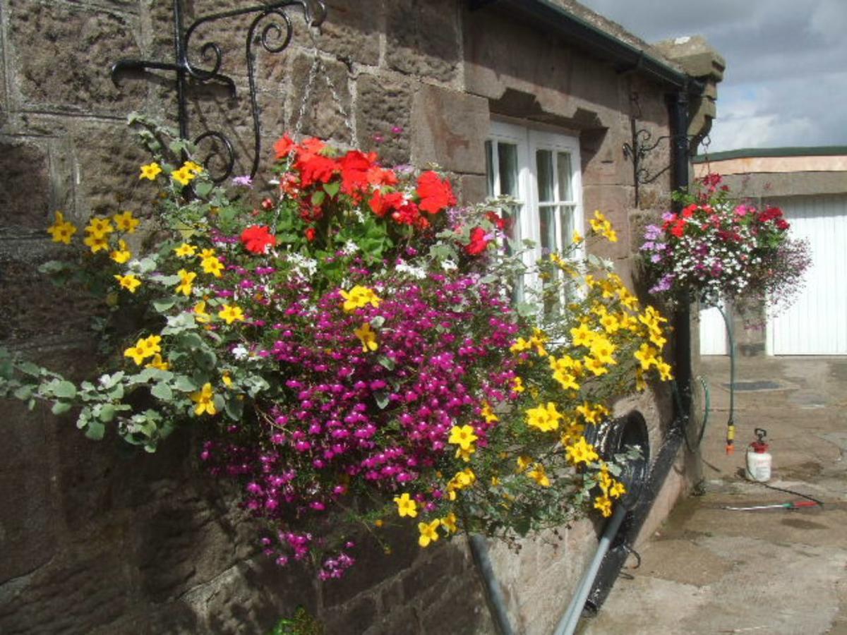 The Old School House Bed & Breakfast Berwick Upon Tweed ภายนอก รูปภาพ
